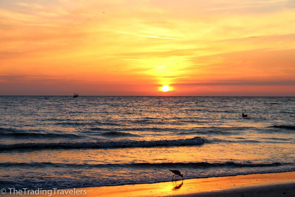 The Perfect Beach Getaway at the Treasure Island Ocean Club | The ...